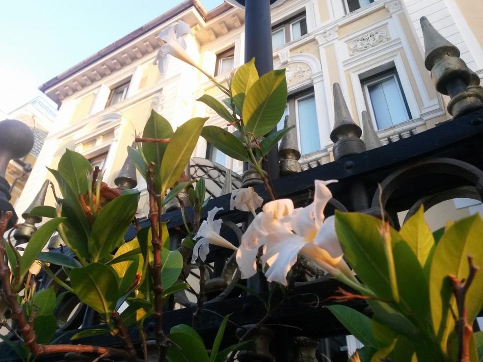 Ena Hotel 아렌자노 외부 사진